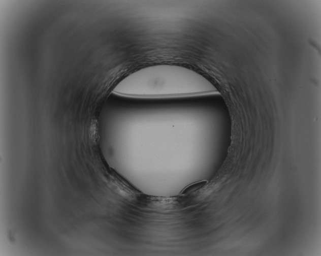 X0000093580288200710151003