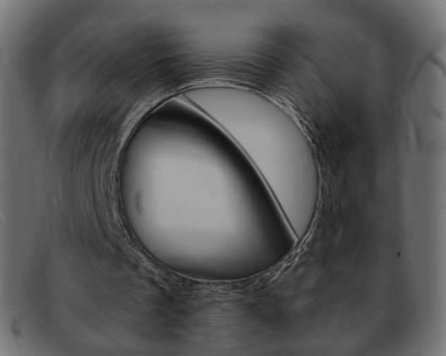 X0000093580289200710151003