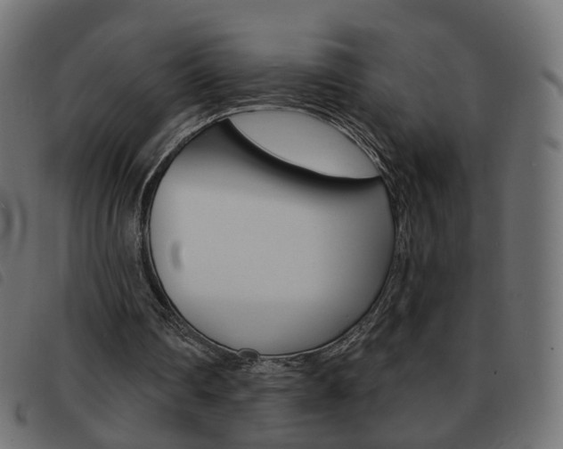 X0000093580290200710151003