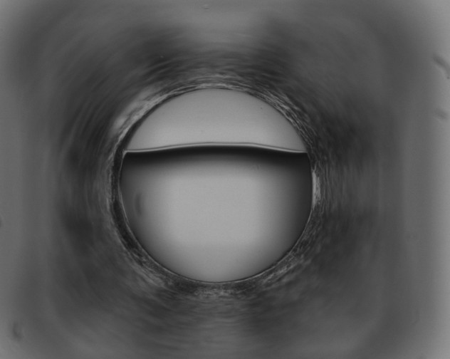 X0000093580291200710151003