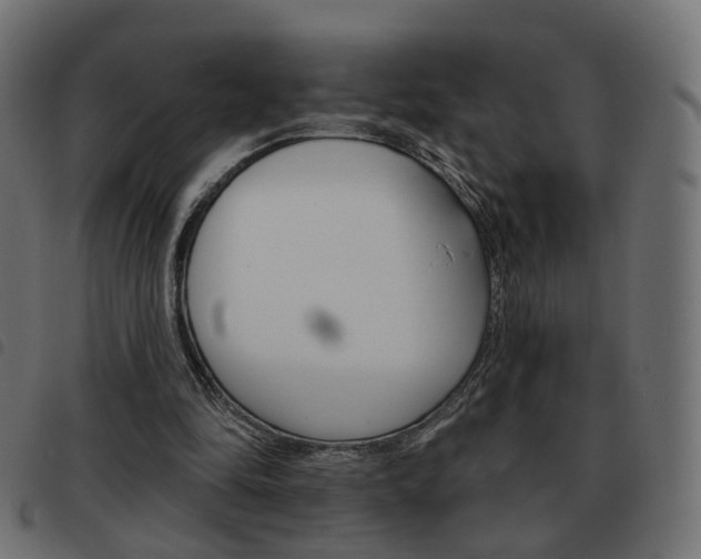 X0000093580294200710151003