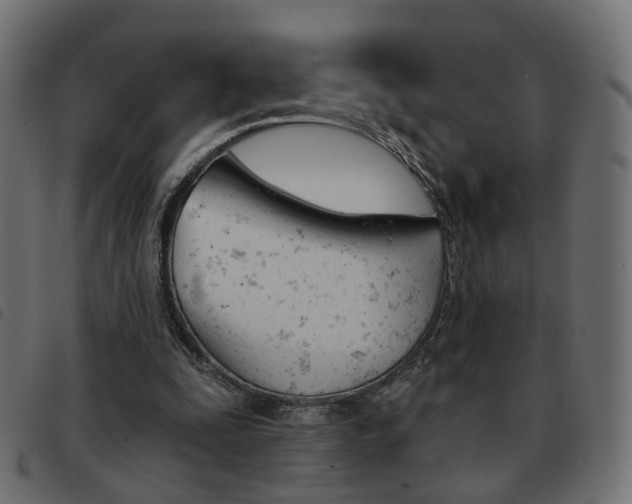 X0000093580295200710151003