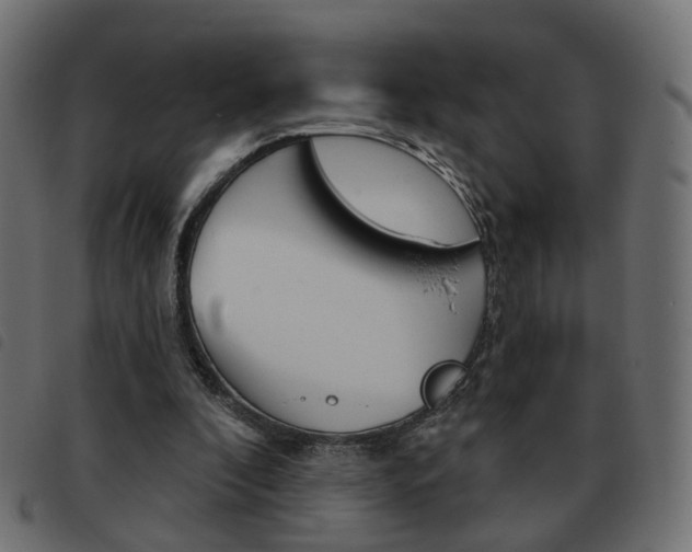 X0000093580296200710151003