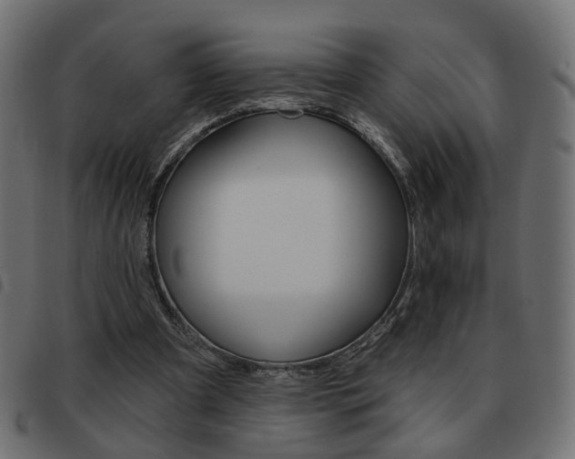 X0000093580297200710151003