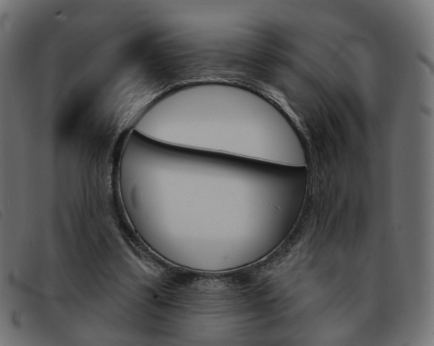 X0000093580299200710151003