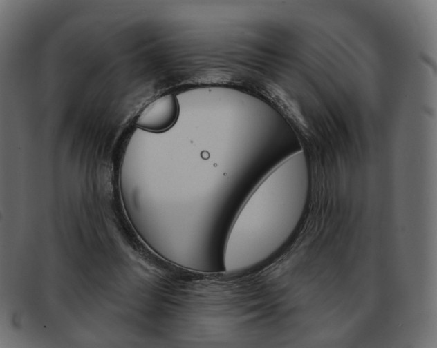 X0000093580300200710151003