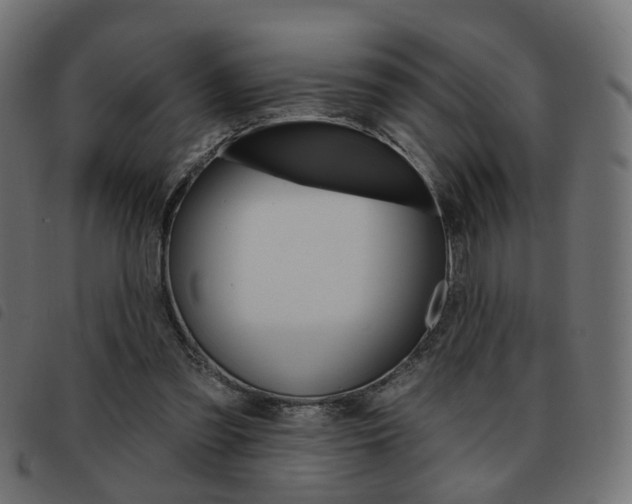 X0000093580301200710151003