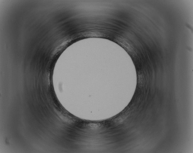 X0000093580302200710151003