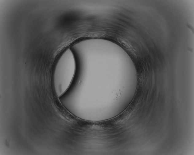 X0000093580303200710151003