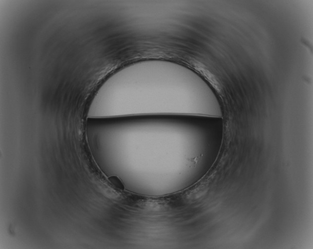 X0000093580305200710151003