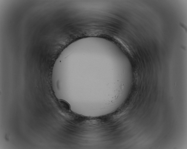 X0000093580307200710151003