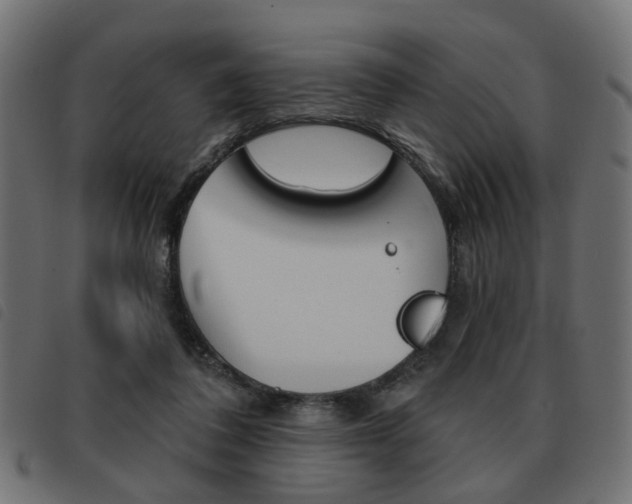 X0000093580308200710151003