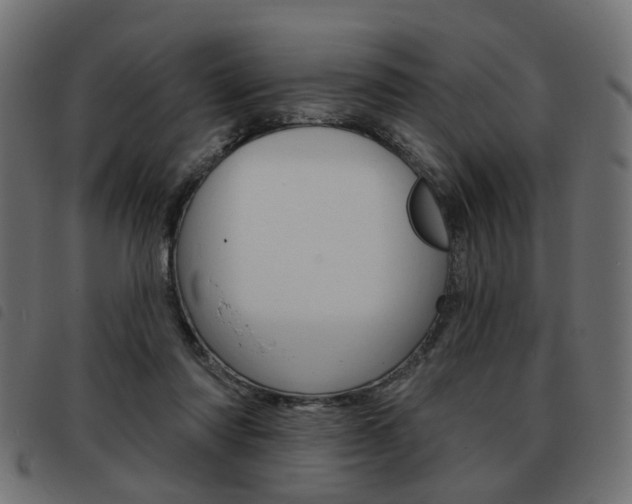 X0000093580310200710151003