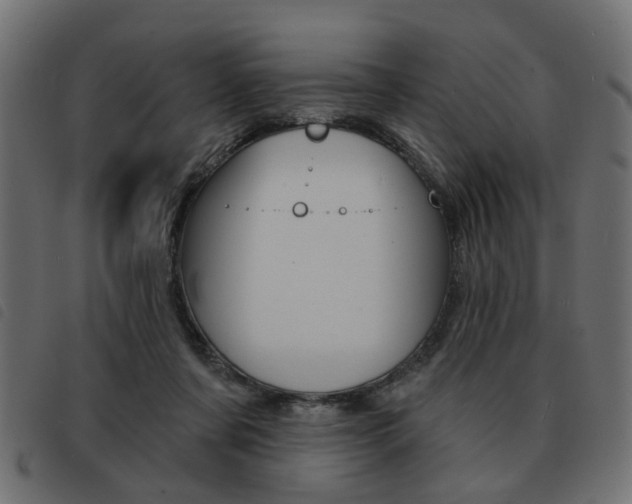 X0000093580311200710151002