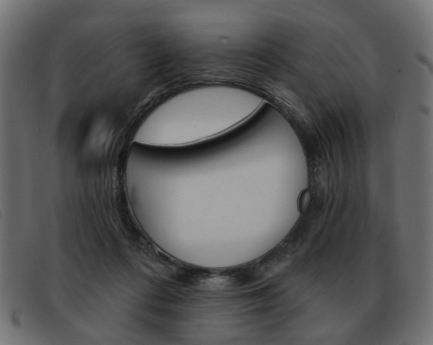 X0000093580312200710151002