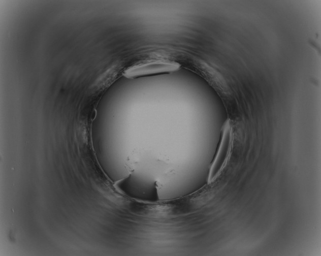 X0000093580313200710151002
