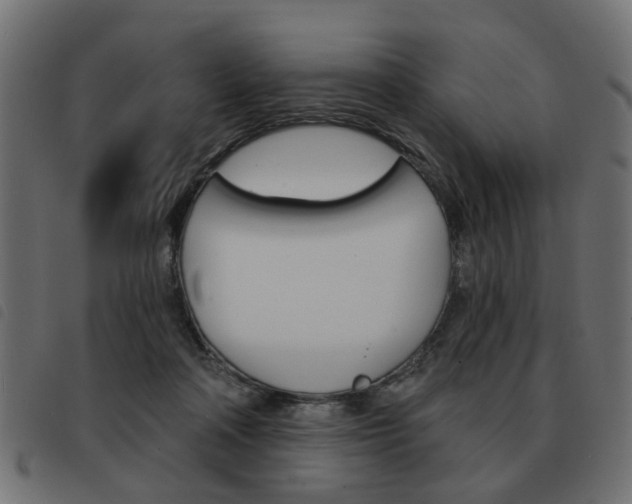 X0000093580314200710151002