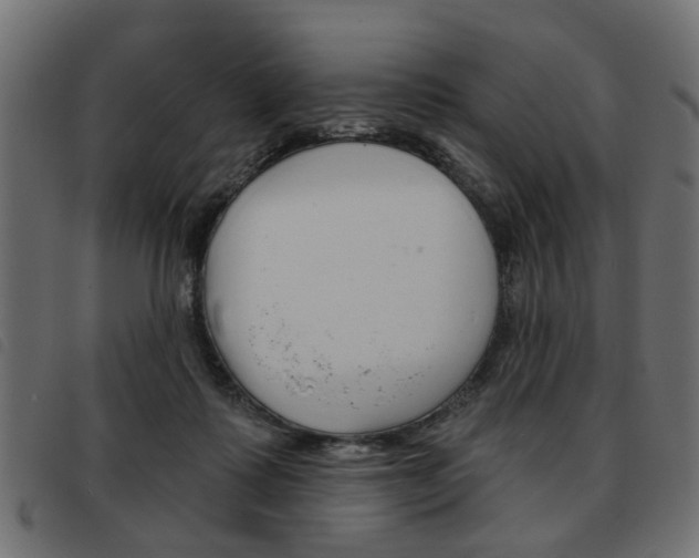 X0000093580315200710151002