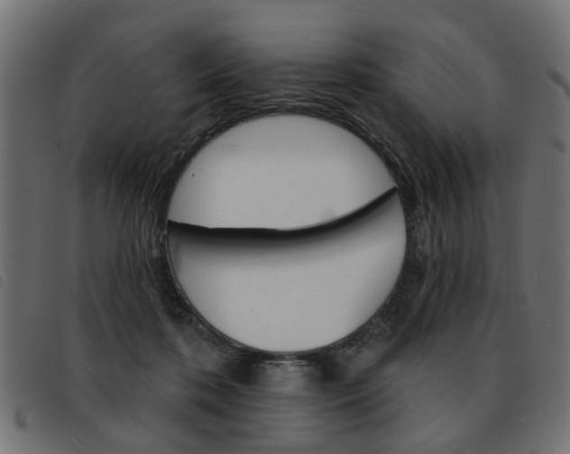 X0000093580316200710151002
