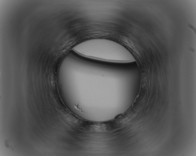 X0000093580317200710151002