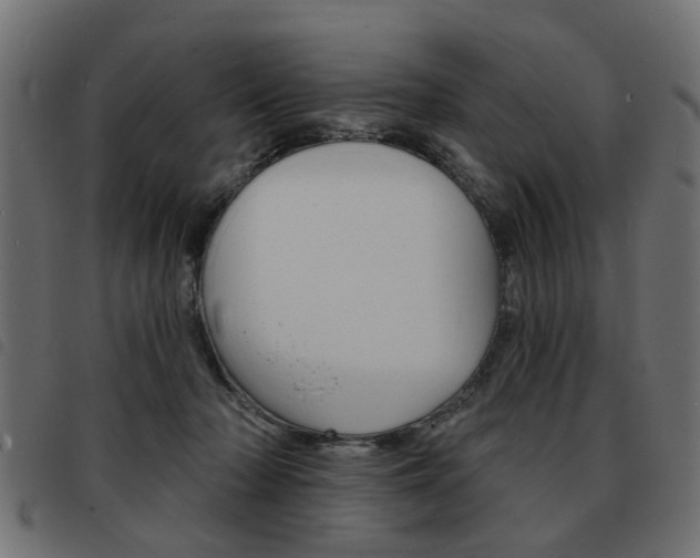 X0000093580318200710151002