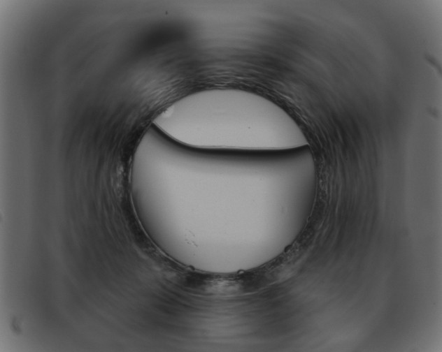 X0000093580319200710151002