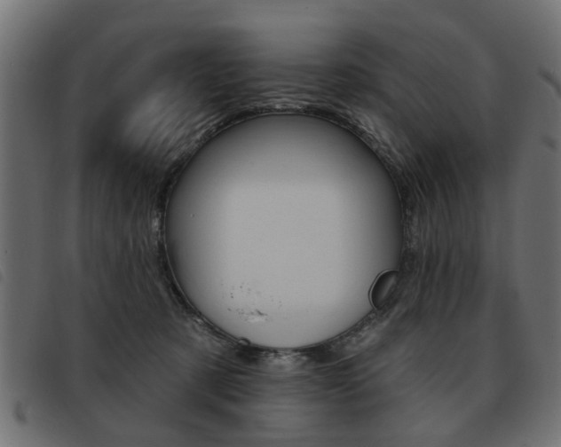 X0000093580321200710151002