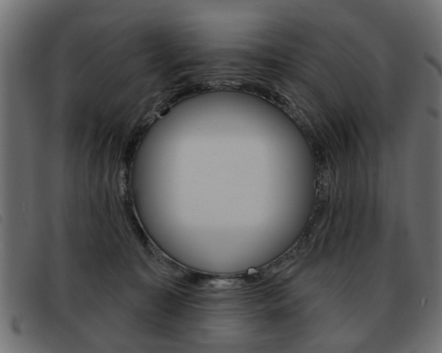 X0000093580323200710151002