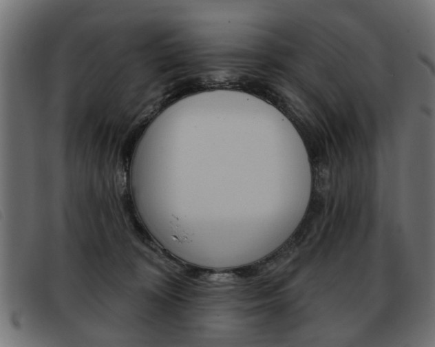 X0000093580324200710151002