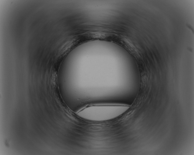 X0000093580325200710151002