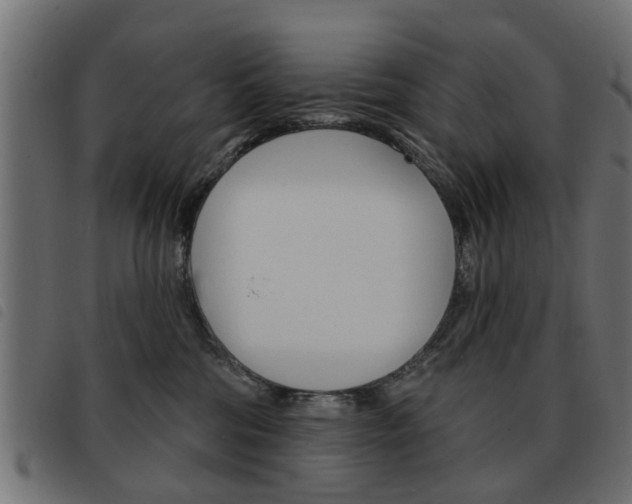 X0000093580330200710151002