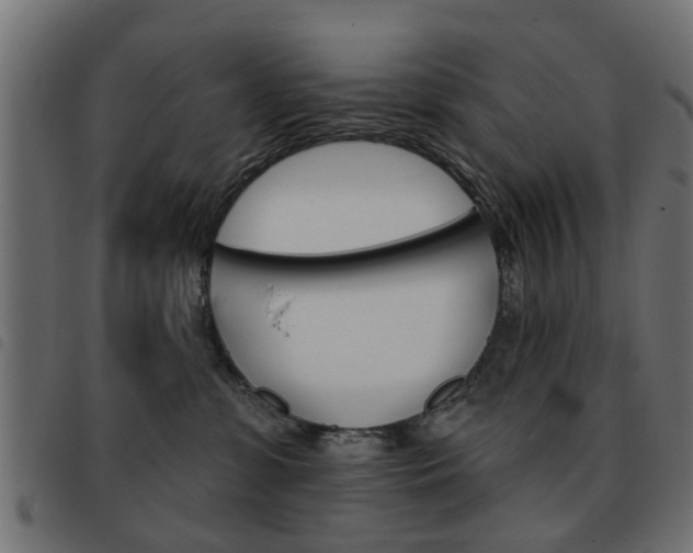 X0000093580331200710151002