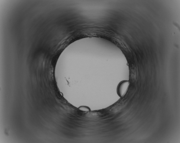 X0000093580332200710151002