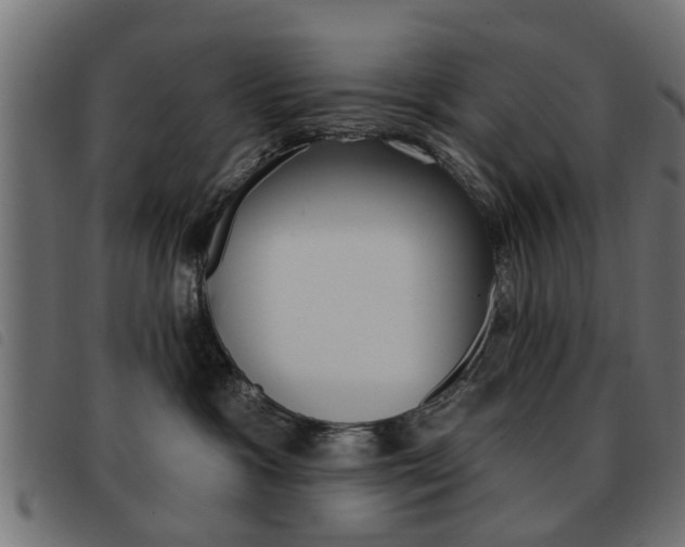 X0000093580333200710151002