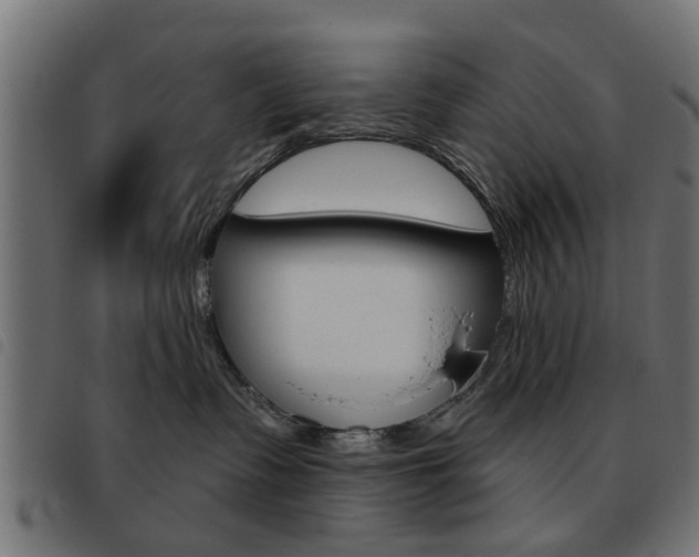 X0000093580335200710151002