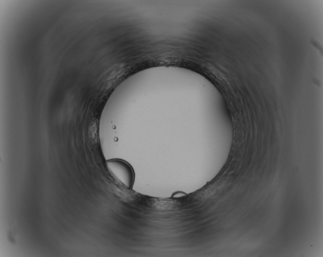 X0000093580336200710151002