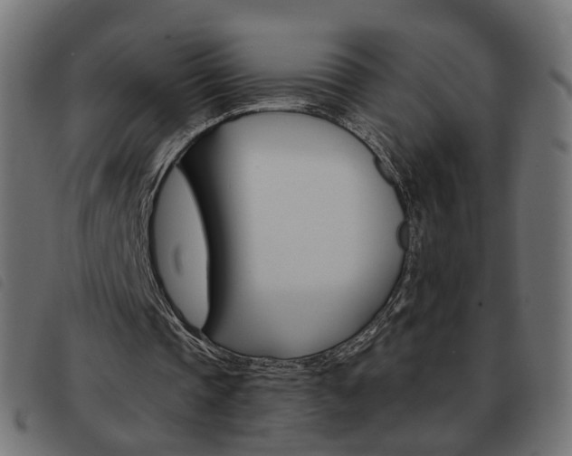 X0000093580337200710151002
