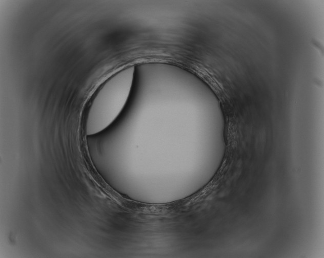X0000093580338200710151002