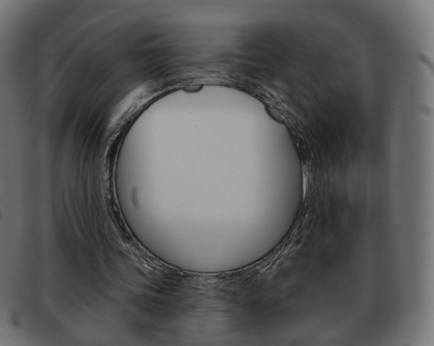 X0000093580339200710151002