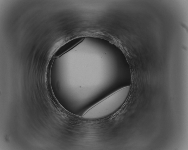 X0000093580340200710151002
