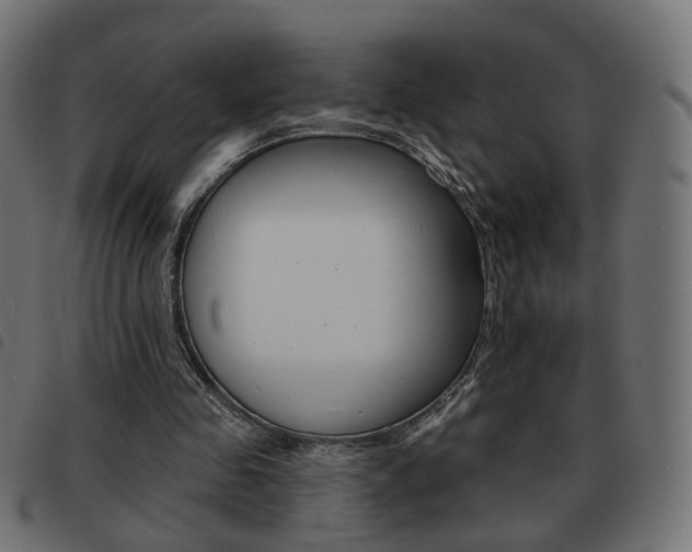 X0000093580341200710151002