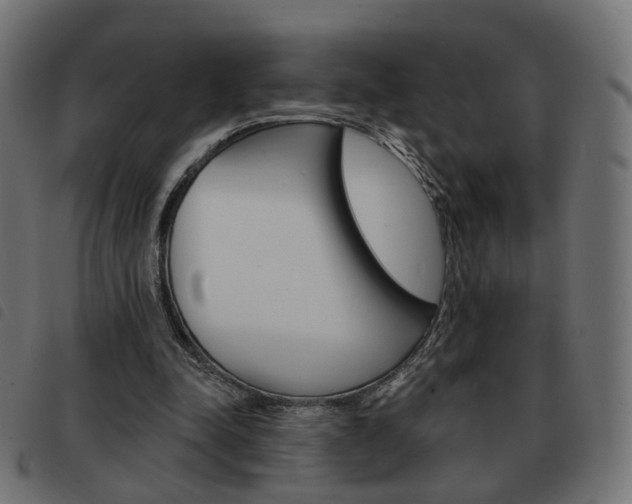 X0000093580342200710151002