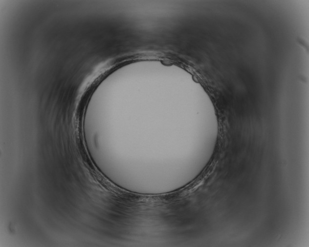 X0000093580343200710151002