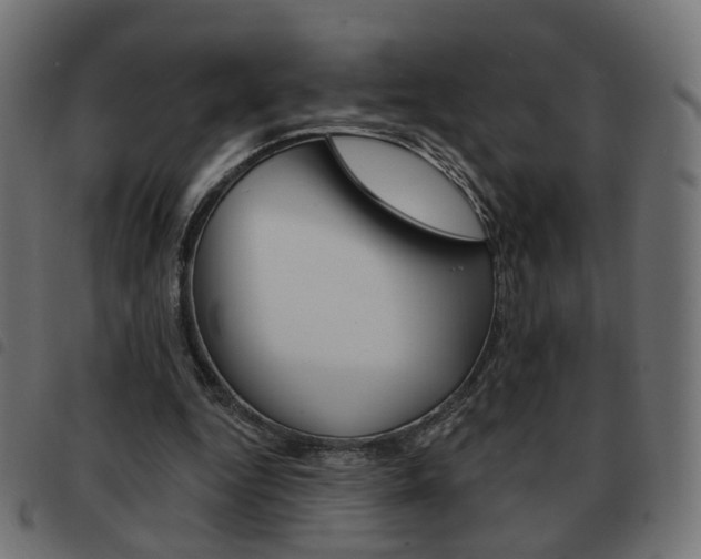 X0000093580344200710151002