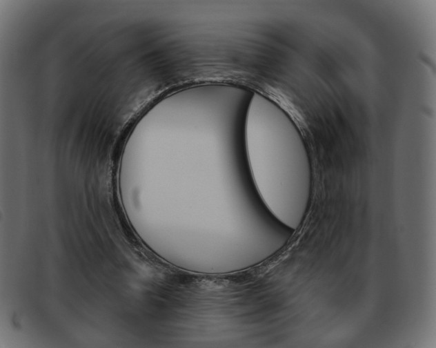 X0000093580346200710151002