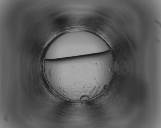 X0000093580347200710151002