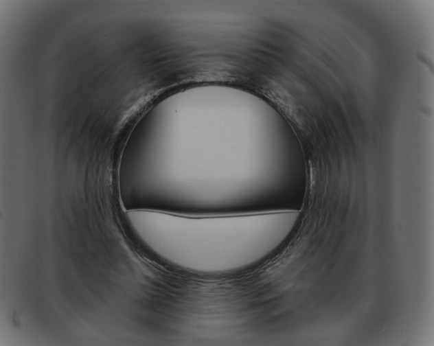 X0000093580348200710151002