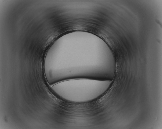X0000093580349200710151002