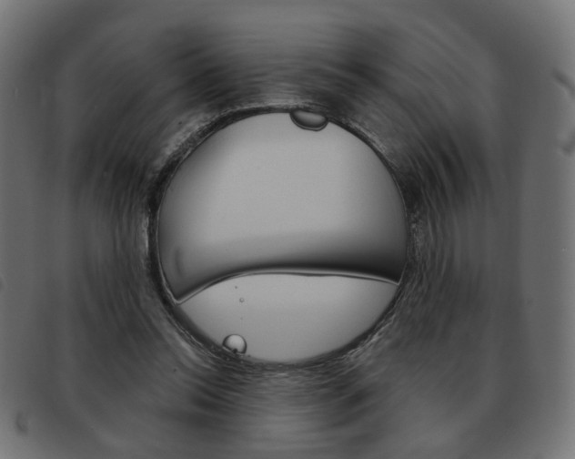 X0000093580350200710151002
