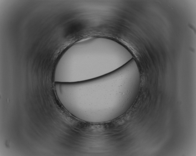 X0000093580353200710151002
